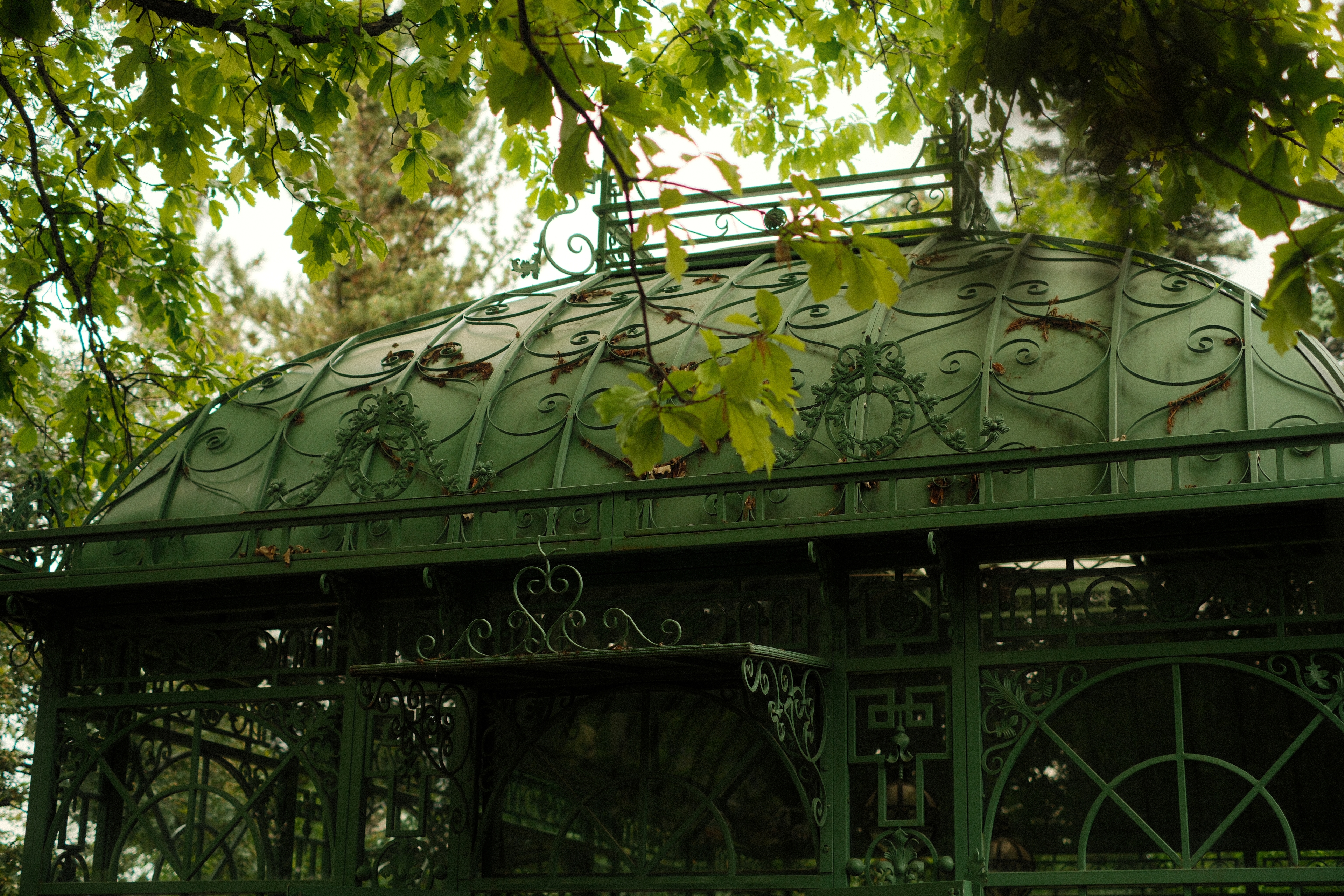 The upper portion of an ornate green wrought-iron and glass gazebo or conservatory, viewed from below. The domed roof features elaborate scrollwork and decorative medallions, with scattered leaf debris collected on its surface. Leafy tree branches frame the top of the image against a pale sky.